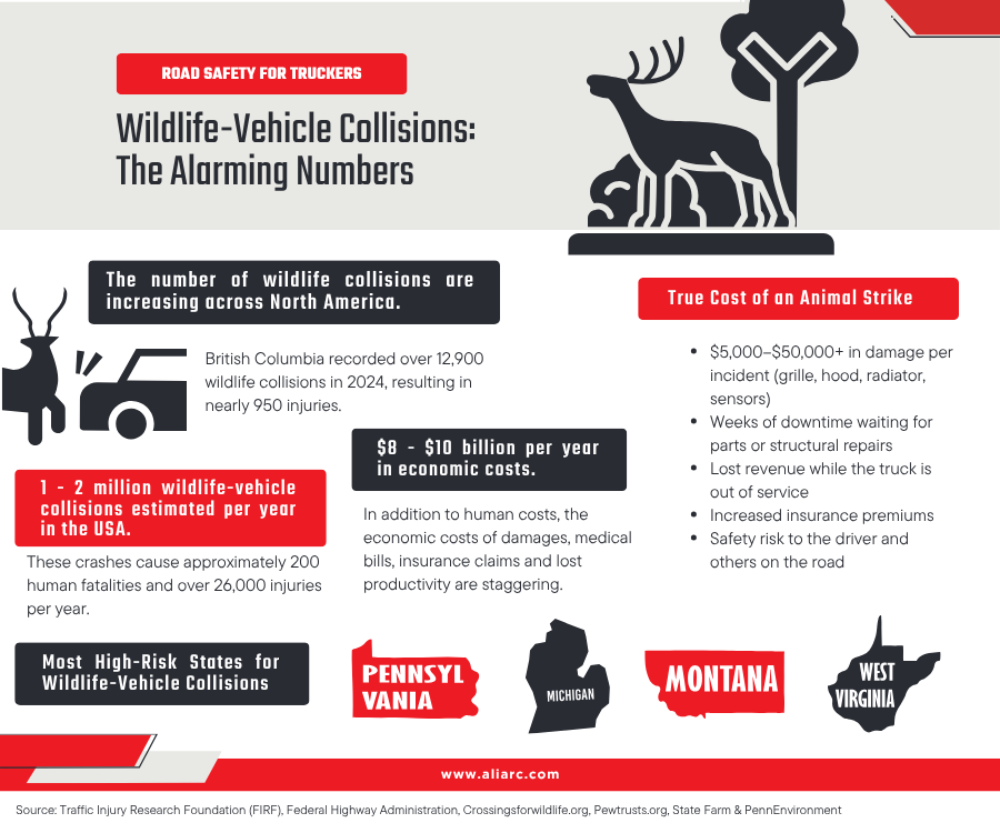 protect yourself against wildlife strikes