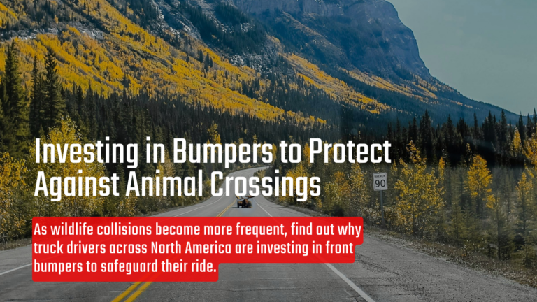 text reads 'investing in bumpers to protect against animal crossings' overlaid on picture of highway with moose sighting